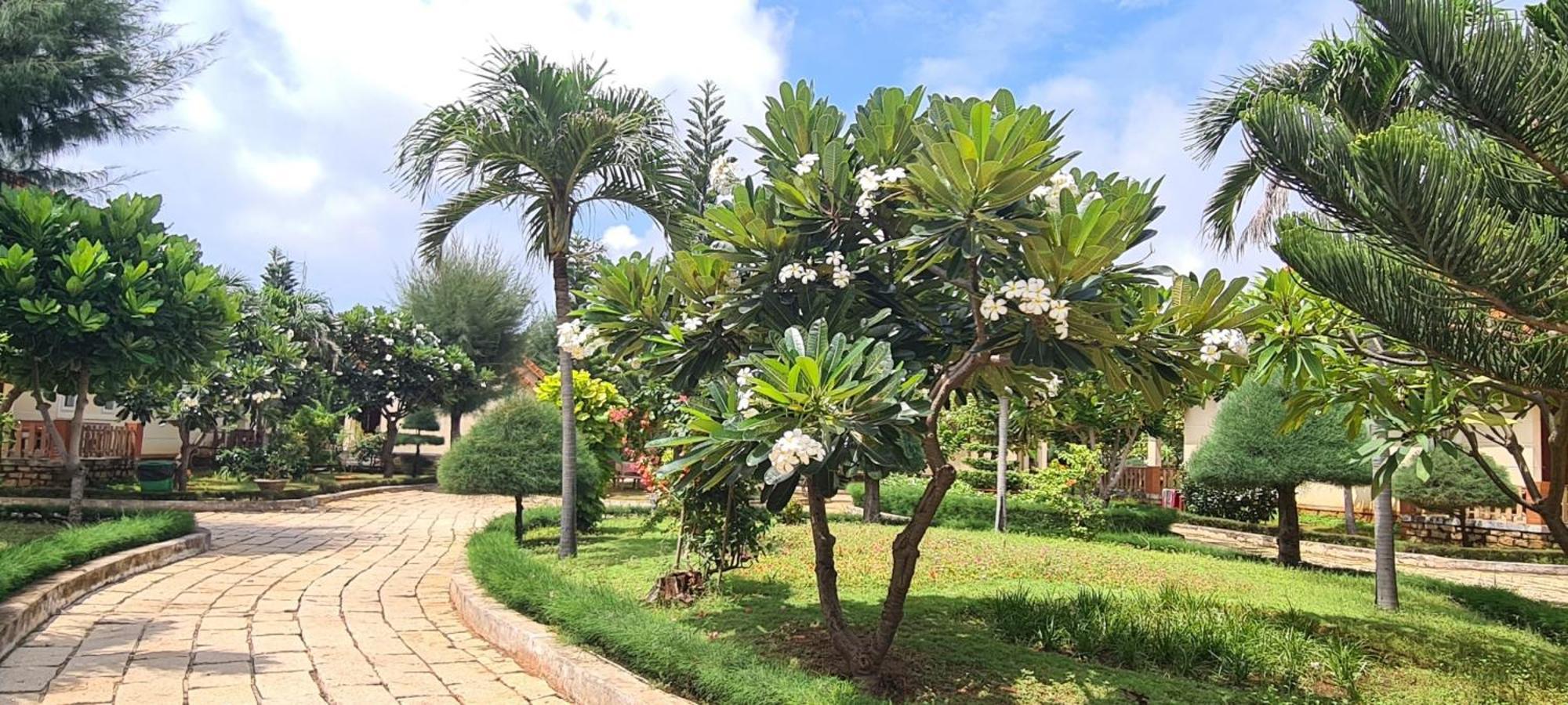 Hai Duong Intourco Resort, Vung Tau Dış mekan fotoğraf